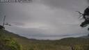 ./images/calvert/fitz-hugh-hecate/20250705/fitz-hugh-hecate20250705_161510M.jpg