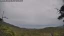 ./images/calvert/fitz-hugh-hecate/20250705/fitz-hugh-hecate20250705_162510M.jpg