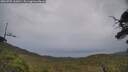 ./images/calvert/fitz-hugh-hecate/20250705/fitz-hugh-hecate20250705_163010M.jpg