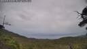 ./images/calvert/fitz-hugh-hecate/20250705/fitz-hugh-hecate20250705_163510M.jpg