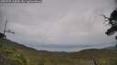 ./images/calvert/fitz-hugh-hecate/20250705/fitz-hugh-hecate20250705_164010M.jpg