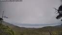 ./images/calvert/fitz-hugh-hecate/20250705/fitz-hugh-hecate20250705_164510M.jpg