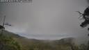 ./images/calvert/fitz-hugh-hecate/20250705/fitz-hugh-hecate20250705_165509M.jpg