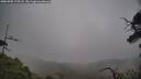 ./images/calvert/fitz-hugh-hecate/20250705/fitz-hugh-hecate20250705_170508M.jpg