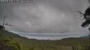 ./images/calvert/fitz-hugh-hecate/20250705/fitz-hugh-hecate20250705_172509M.jpg