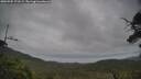 ./images/calvert/fitz-hugh-hecate/20250705/fitz-hugh-hecate20250705_173508M.jpg