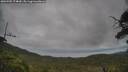 ./images/calvert/fitz-hugh-hecate/20250705/fitz-hugh-hecate20250705_174010M.jpg