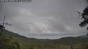 ./images/calvert/fitz-hugh-hecate/20250705/fitz-hugh-hecate20250705_180510M.jpg