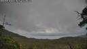 ./images/calvert/fitz-hugh-hecate/20250705/fitz-hugh-hecate20250705_181010M.jpg