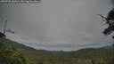 ./images/calvert/fitz-hugh-hecate/20250705/fitz-hugh-hecate20250705_182008M.jpg