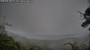 ./images/calvert/fitz-hugh-hecate/20250705/fitz-hugh-hecate20250705_182509M.jpg