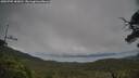 ./images/calvert/fitz-hugh-hecate/20250705/fitz-hugh-hecate20250705_183011M.jpg
