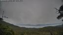 ./images/calvert/fitz-hugh-hecate/20250705/fitz-hugh-hecate20250705_183508M.jpg