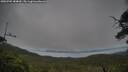 ./images/calvert/fitz-hugh-hecate/20250705/fitz-hugh-hecate20250705_184010M.jpg