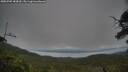 ./images/calvert/fitz-hugh-hecate/20250705/fitz-hugh-hecate20250705_184510M.jpg