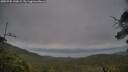 ./images/calvert/fitz-hugh-hecate/20250705/fitz-hugh-hecate20250705_190009M.jpg