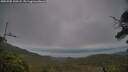 ./images/calvert/fitz-hugh-hecate/20250705/fitz-hugh-hecate20250705_190508M.jpg