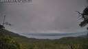 ./images/calvert/fitz-hugh-hecate/20250705/fitz-hugh-hecate20250705_191009M.jpg