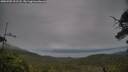 ./images/calvert/fitz-hugh-hecate/20250705/fitz-hugh-hecate20250705_191508M.jpg