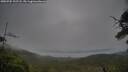 ./images/calvert/fitz-hugh-hecate/20250705/fitz-hugh-hecate20250705_192508M.jpg