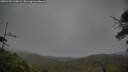 ./images/calvert/fitz-hugh-hecate/20250705/fitz-hugh-hecate20250705_193009M.jpg