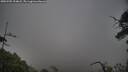 ./images/calvert/fitz-hugh-hecate/20250705/fitz-hugh-hecate20250705_194008M.jpg
