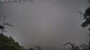 ./images/calvert/fitz-hugh-hecate/20250705/fitz-hugh-hecate20250705_194508M.jpg