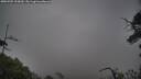 ./images/calvert/fitz-hugh-hecate/20250705/fitz-hugh-hecate20250705_195009M.jpg