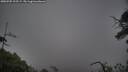 ./images/calvert/fitz-hugh-hecate/20250705/fitz-hugh-hecate20250705_195509M.jpg