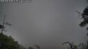 ./images/calvert/fitz-hugh-hecate/20250705/fitz-hugh-hecate20250705_200009M.jpg