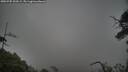 ./images/calvert/fitz-hugh-hecate/20250705/fitz-hugh-hecate20250705_200508M.jpg