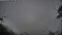./images/calvert/fitz-hugh-hecate/20250705/fitz-hugh-hecate20250705_202508M.jpg