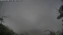 ./images/calvert/fitz-hugh-hecate/20250705/fitz-hugh-hecate20250705_203008M.jpg