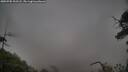 ./images/calvert/fitz-hugh-hecate/20250705/fitz-hugh-hecate20250705_203508M.jpg