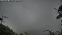 ./images/calvert/fitz-hugh-hecate/20250705/fitz-hugh-hecate20250705_204008M.jpg