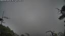 ./images/calvert/fitz-hugh-hecate/20250705/fitz-hugh-hecate20250705_205508M.jpg
