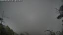 ./images/calvert/fitz-hugh-hecate/20250705/fitz-hugh-hecate20250705_210008M.jpg