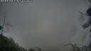./images/calvert/fitz-hugh-hecate/20250705/fitz-hugh-hecate20250705_210507M.jpg