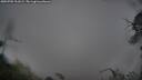 ./images/calvert/fitz-hugh-hecate/20250705/fitz-hugh-hecate20250705_211009M.jpg