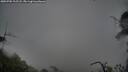./images/calvert/fitz-hugh-hecate/20250705/fitz-hugh-hecate20250705_212507M.jpg