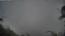 ./images/calvert/fitz-hugh-hecate/20250705/fitz-hugh-hecate20250705_213009M.jpg