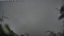 ./images/calvert/fitz-hugh-hecate/20250705/fitz-hugh-hecate20250705_213509M.jpg