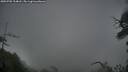 ./images/calvert/fitz-hugh-hecate/20250705/fitz-hugh-hecate20250705_214008M.jpg