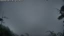 ./images/calvert/fitz-hugh-hecate/20250705/fitz-hugh-hecate20250705_214507M.jpg