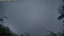 ./images/calvert/fitz-hugh-hecate/20250705/fitz-hugh-hecate20250705_215010M.jpg