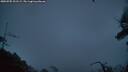 ./images/calvert/fitz-hugh-hecate/20250705/fitz-hugh-hecate20250705_221509M.jpg
