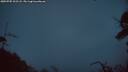 ./images/calvert/fitz-hugh-hecate/20250705/fitz-hugh-hecate20250705_222508M.jpg