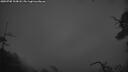 ./images/calvert/fitz-hugh-hecate/20250705/fitz-hugh-hecate20250705_223008M.jpg