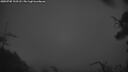 ./images/calvert/fitz-hugh-hecate/20250705/fitz-hugh-hecate20250705_223507M.jpg