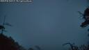 ./images/calvert/fitz-hugh-hecate/20250706/fitz-hugh-hecate20250706_045508M.jpg